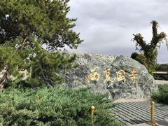 -张掖大佛寺景区