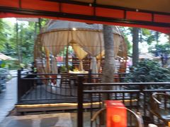 -二荆条·蜀鲜汇城市森林火锅