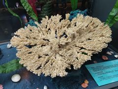 -天津自然博物馆