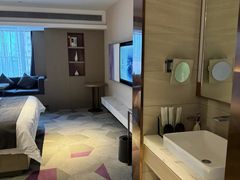 -麗枫(广州番禺长隆南村万博地铁站店)