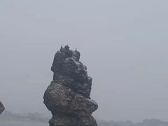 -碣石国家级海洋公园