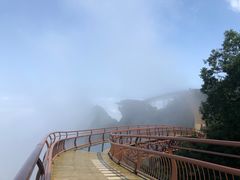 -少华山国家森林公园