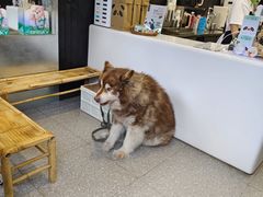 -协和菜馆(凤凰街店)