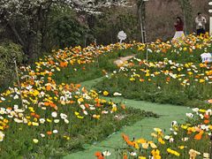 -名花谷生态庄园