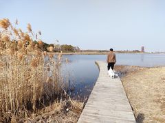 -春花秋色城市公园