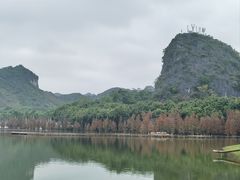 -南宁花花大世界景区