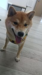 -HEYAN荷妍专业脱毛连锁机构