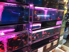 -双季花艺园艺市场(浦东店)