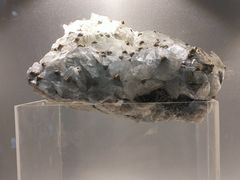 -甘肃地质博物馆