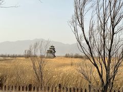 -野鸭湖国家湿地公园