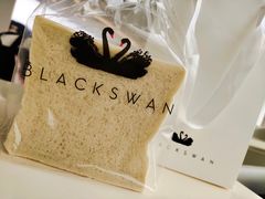 -BLACKSWAN黑天鹅(环球店)