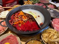 -阳阳老火锅(小南门店)