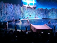 -珠海横琴长隆《卡卡虎奇遇记》