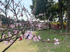 -美兰湖景区