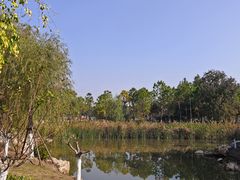 -春花秋色城市公园