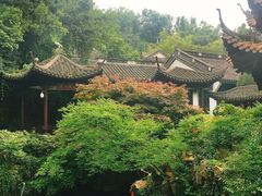 -杭州黄龙洞