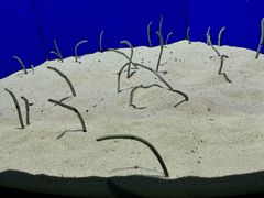 -上海海洋水族馆