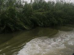 -泗洪洪泽湖湿地景区