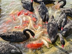 -艾溪湖湿地公园