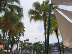 -重庆海昌加勒比海水世界