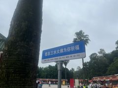 -三水森林公园