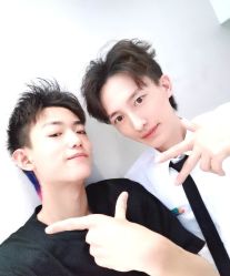 -爱维丽