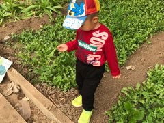 -万源龙顺度假庄园生态观光园