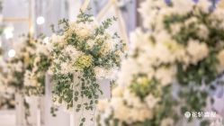 -花轿喜屋婚礼策划