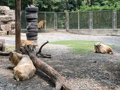 -上海野生动物园
