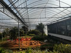 -无锡动物园·太湖欢乐园