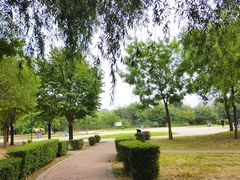 -丁香湖公园