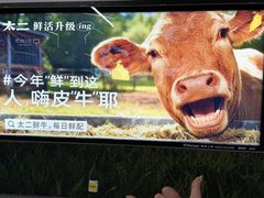 -太二酸菜鱼(兴业太古汇店)