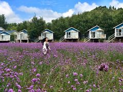住宿-紫海香堤香草艺术庄园