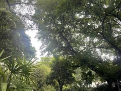 -晓港公园
