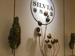 -茜尔维亚修身连锁(庆春银泰店)