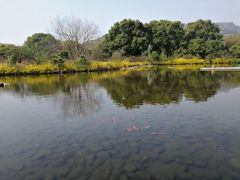-白马涧龙池景区