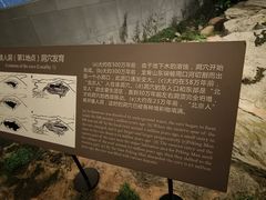 -北京周口店北京人遗址博物馆