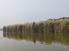 -西青郊野公园