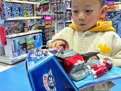 -TOYSRUS玩具反斗城(武汉荟聚中心店)