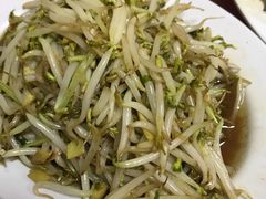 醋溜豆芽-教师之家赵家羊汤馆(东青龙街店)