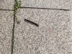 -天津盘山风景名胜区