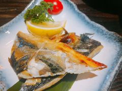-芥岛(河北大街店)