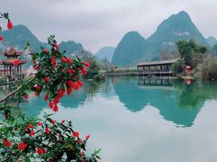 -靖西鹅泉风景区