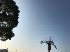 -上海月湖雕塑公园