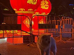 -沈阳商业城(中街路店)