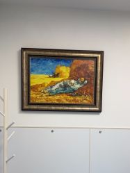 -温州伯思立医院