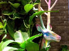 -茶理宜世(东方宝泰店)