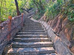 -广州白江湖森林公园