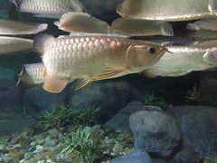 -福州罗源湾海洋世界旅游区