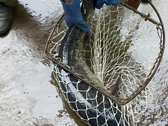 -姥家大锅台水库渔家